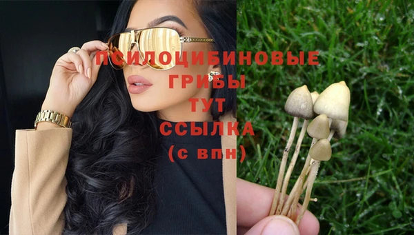 прущая мука Няндома