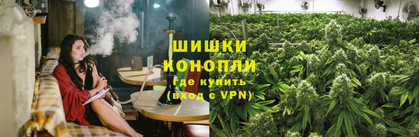 прущая мука Няндома