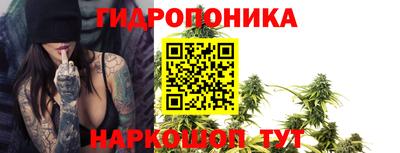 гидропоника Канаш