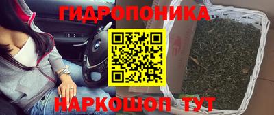 круглые Камышлов