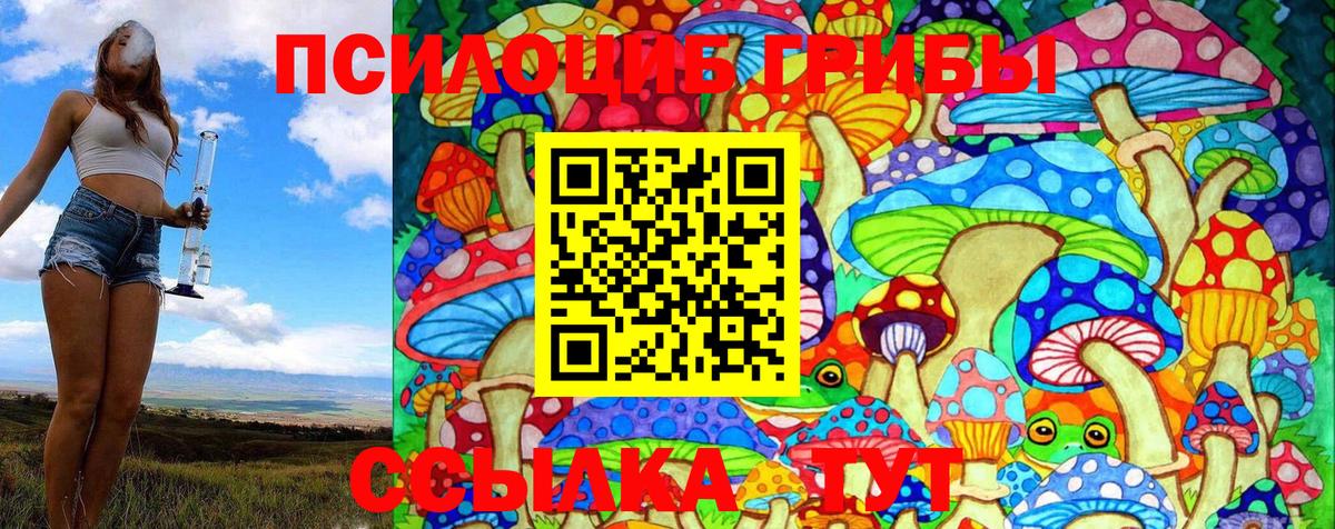 Псилоцибиновые грибы прущие грибы Лабытнанги