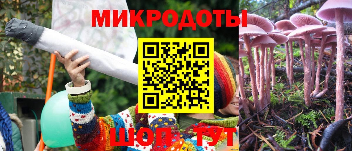 Псилоцибиновые грибы Psilocybe  Лабытнанги 